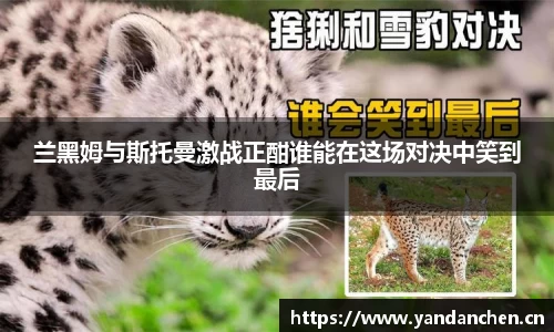 uwin电竞网址